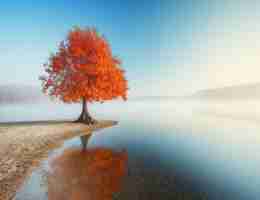 精‍确‌搜​索﻿引‍擎‌